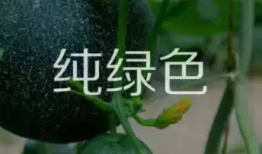 无人区吃瓜爆料免费,吃瓜爆料背后的真实故事